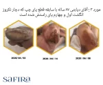 کرم عسل مدی هانی کد 405